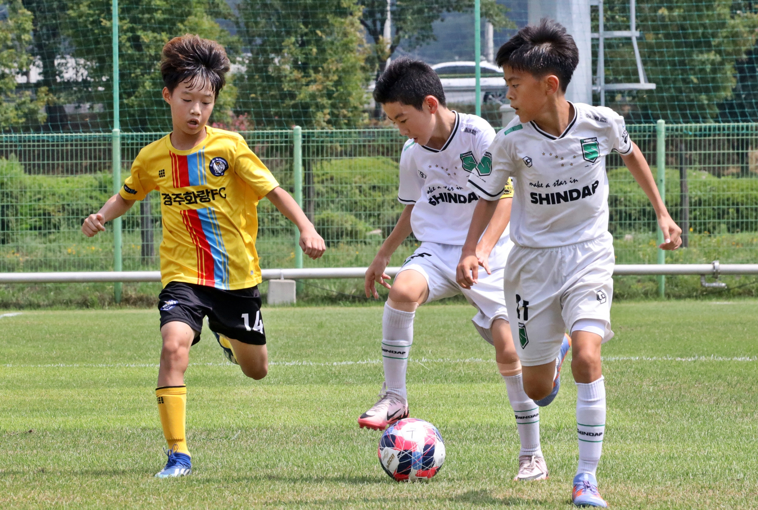 2024 화랑대기, 600억 경제효과… 경주, 유소년 축구 중심지로 자리매김