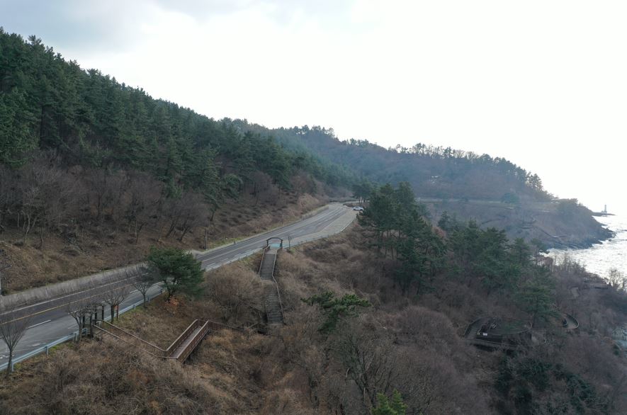영광군, 백수해안도로 산림경관 정비 사업 추진