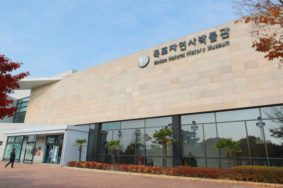 목포자연사박물관, 새해 소망 가득 설맞이 체험행사 개최