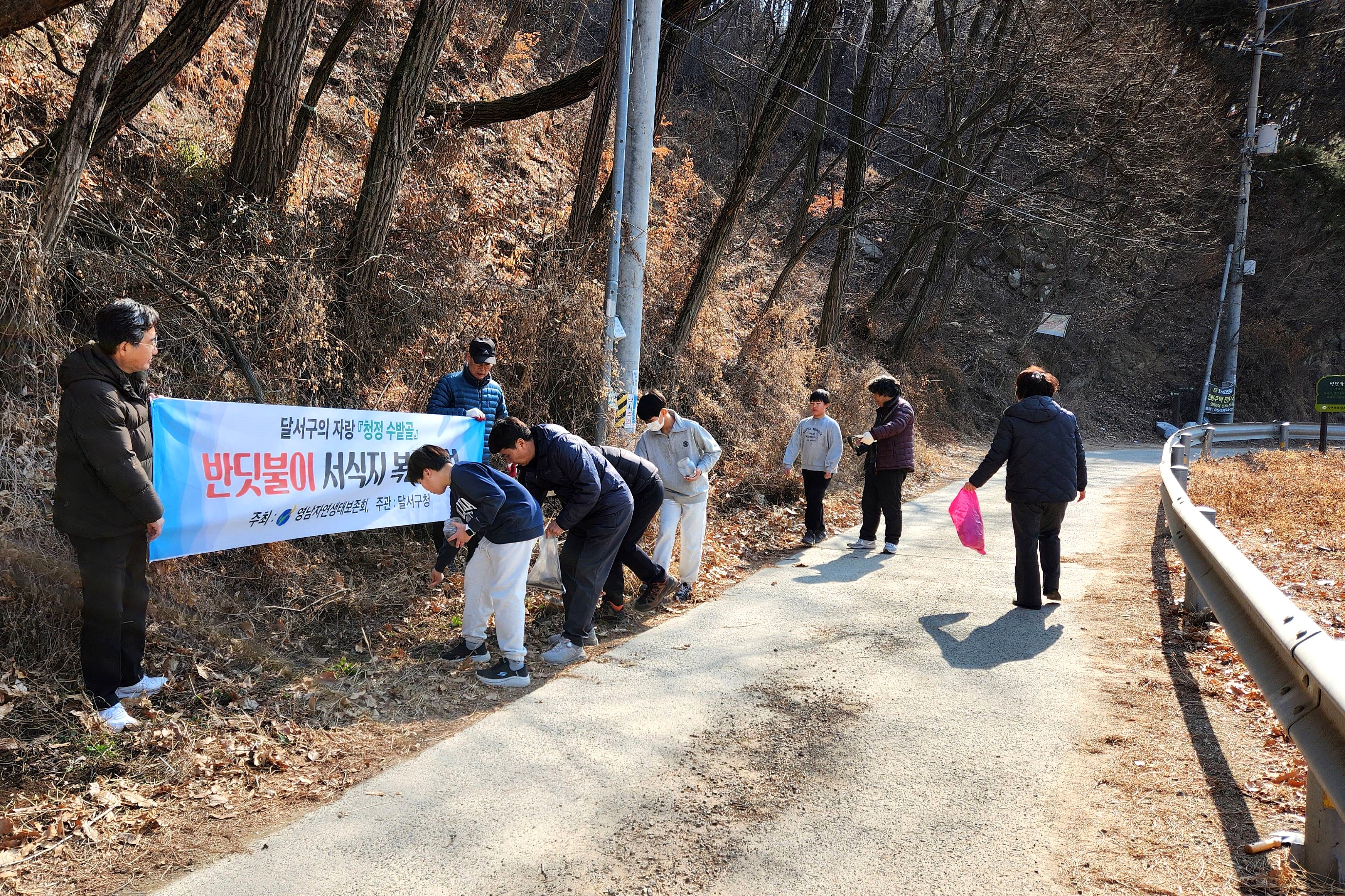 대구 최초 그린시티 달서구, 반딧불이 서식 환경 조성 노력