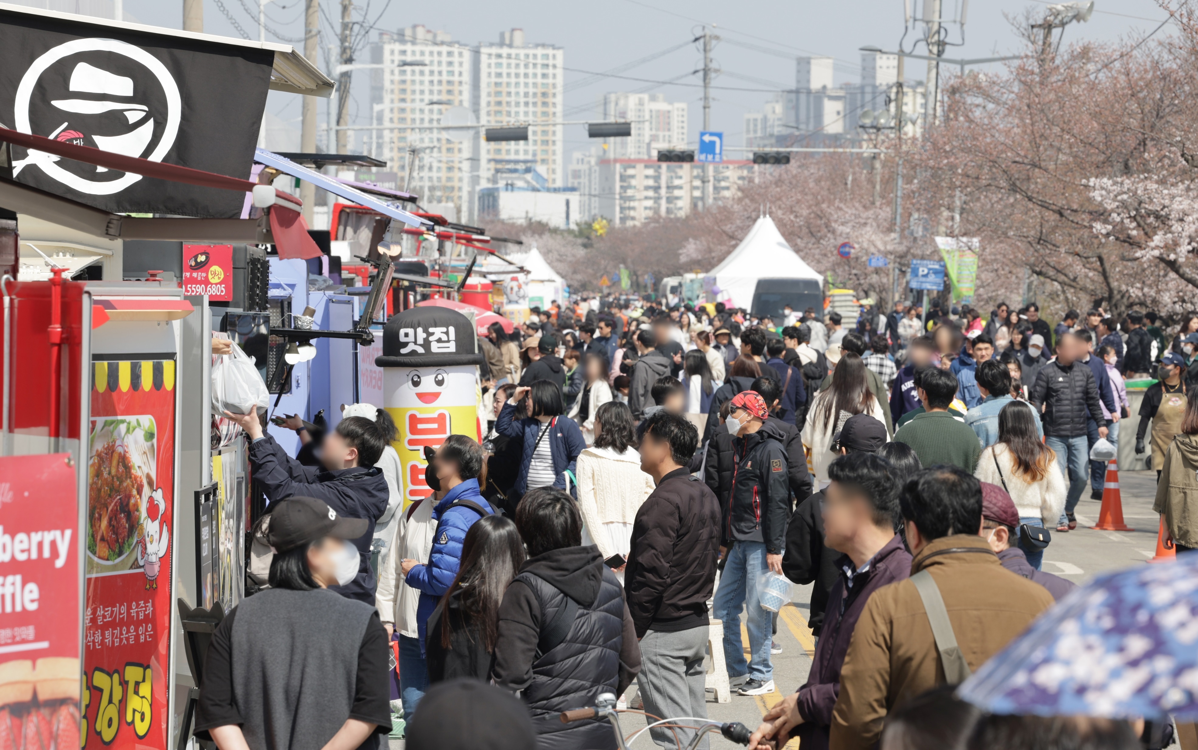 벚꽃과 함께하는 2025 청주 푸드트럭 축제 참여자 모집