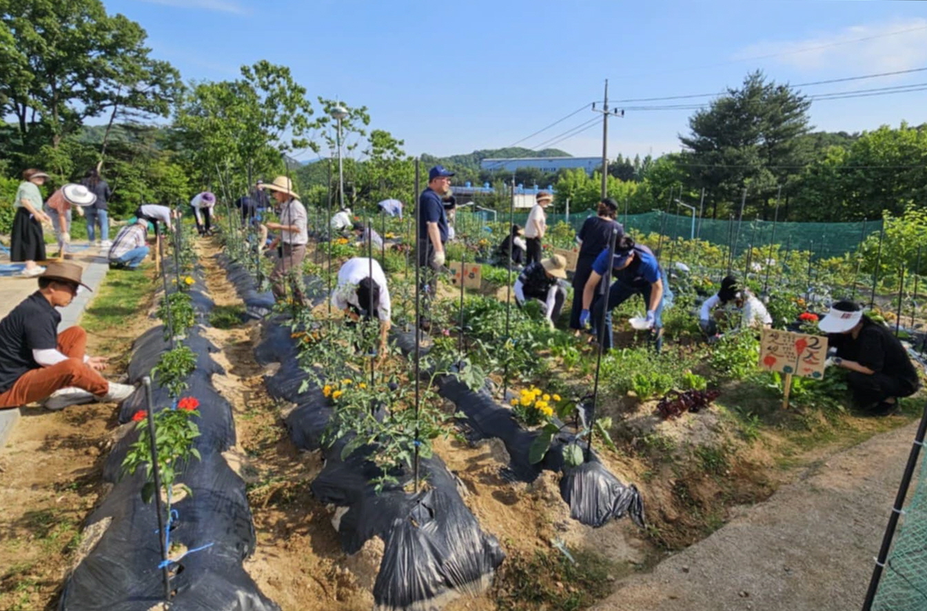 계룡시, 제14기 계룡농업대학(도시농업학과) 신입생 모집