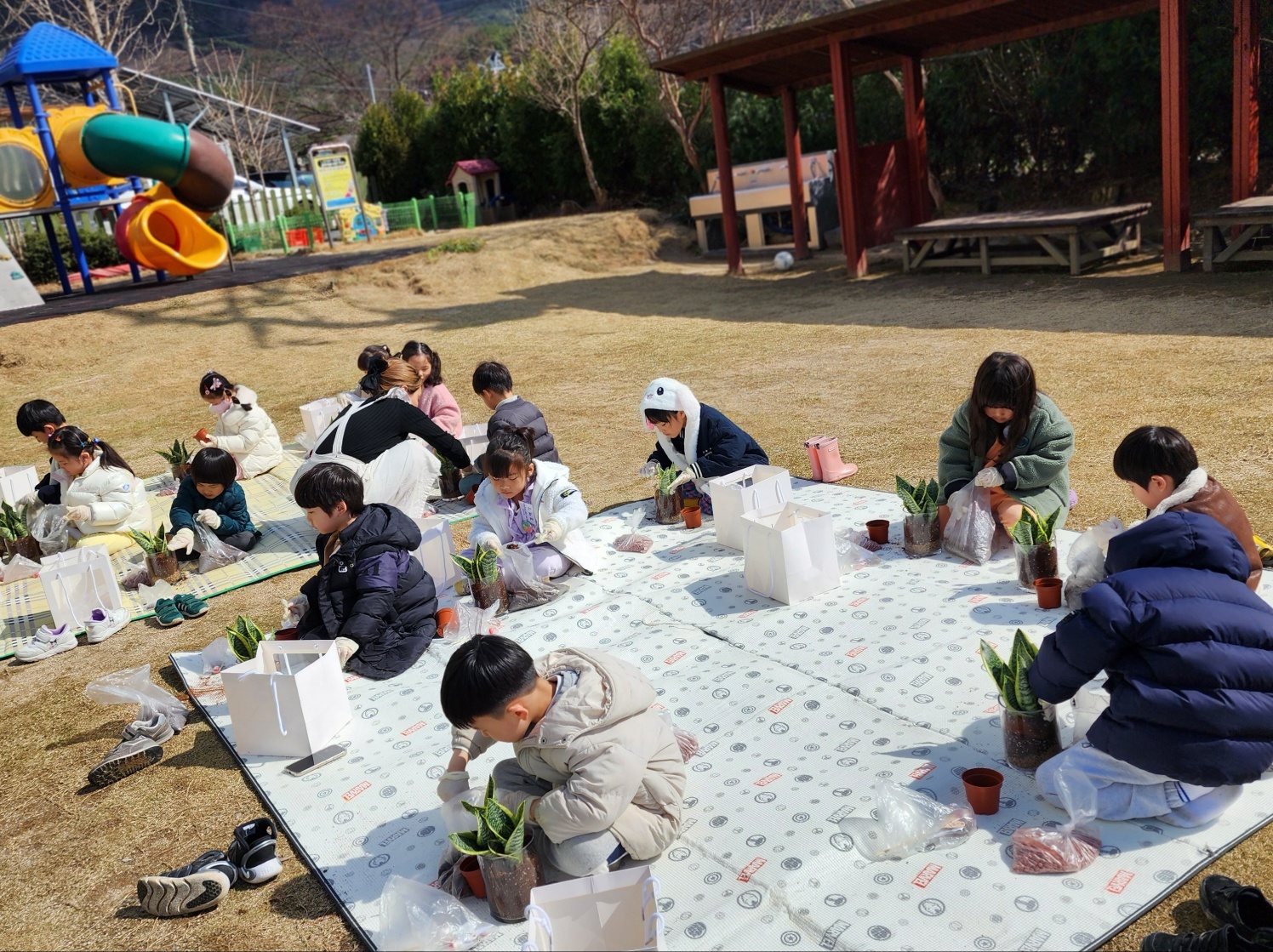 보령시, ‘생활원예 힐링치유교육’ 운영...시민 심신 안정 도모