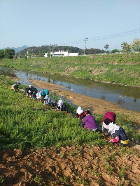 금산군, 취업취약계층 위한 2025년 제2단계 공공근로 참여자 모집