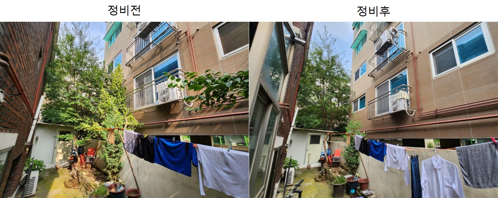 구로구, 생활주변 위험수목 처리 지원사업 신청 접수