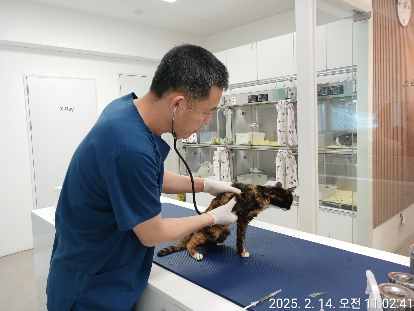 구로구, 길고양이 중성화 사업(TNR) 실시