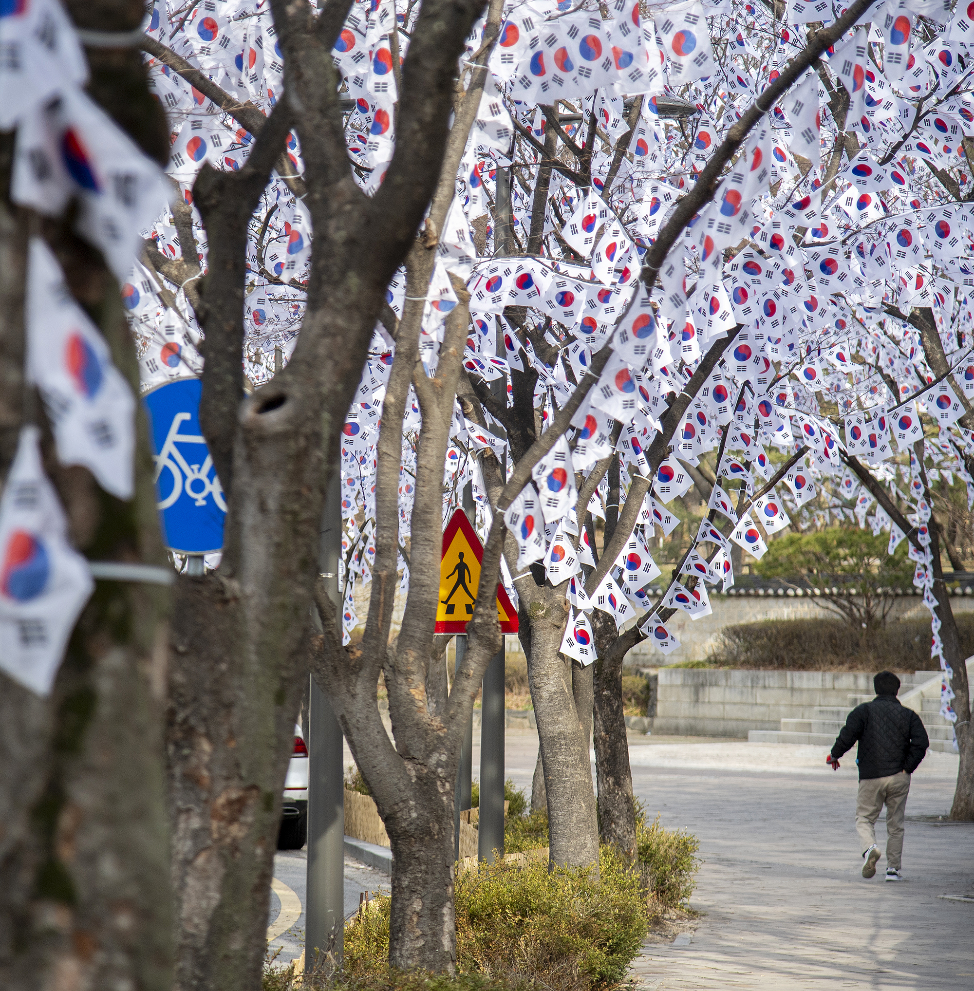 용산구, 제106주년 3.1절 기념 태극기 거리 조성