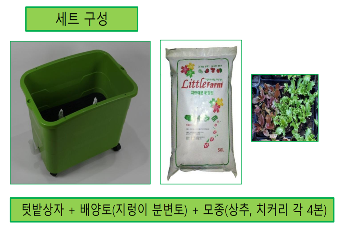 2025 동대문구 상자텃밭 보급