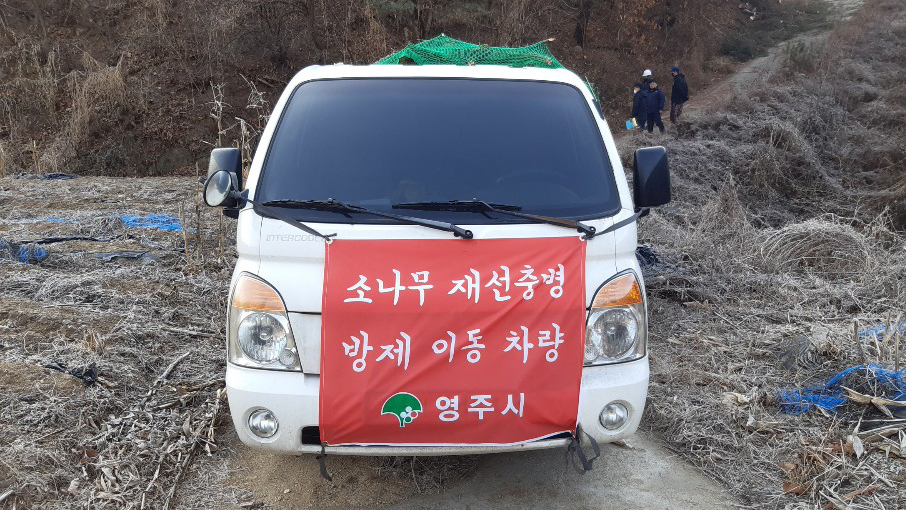 영주시, 2025년 소나무재선충병 방제사업 시행