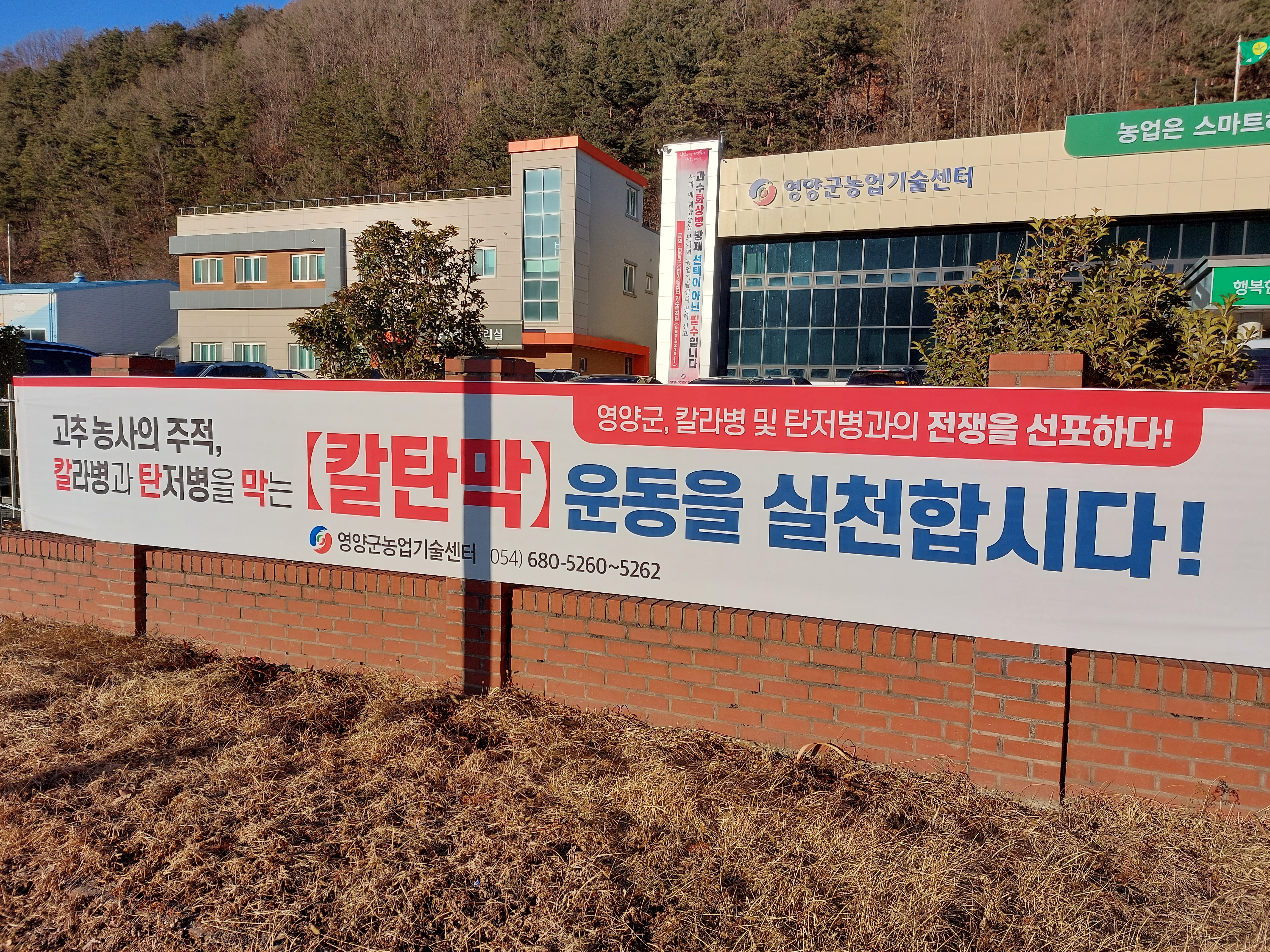 영양군농업기술센터, 칼탄막 운동을 실천합시다