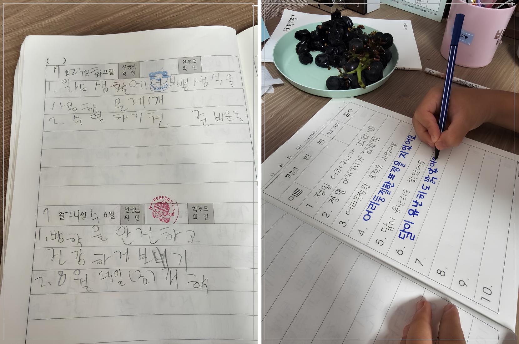 영덕군가족센터, 초등 글씨 교정 프로그램 실시