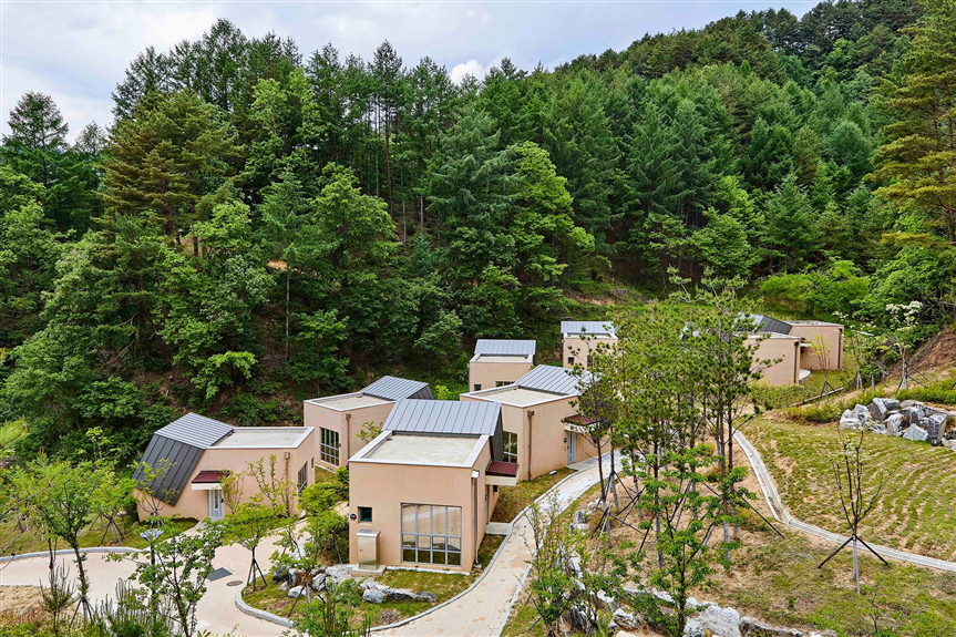 울진군, 코레일 관광개발과 산림관광 활성화 사업 실시
