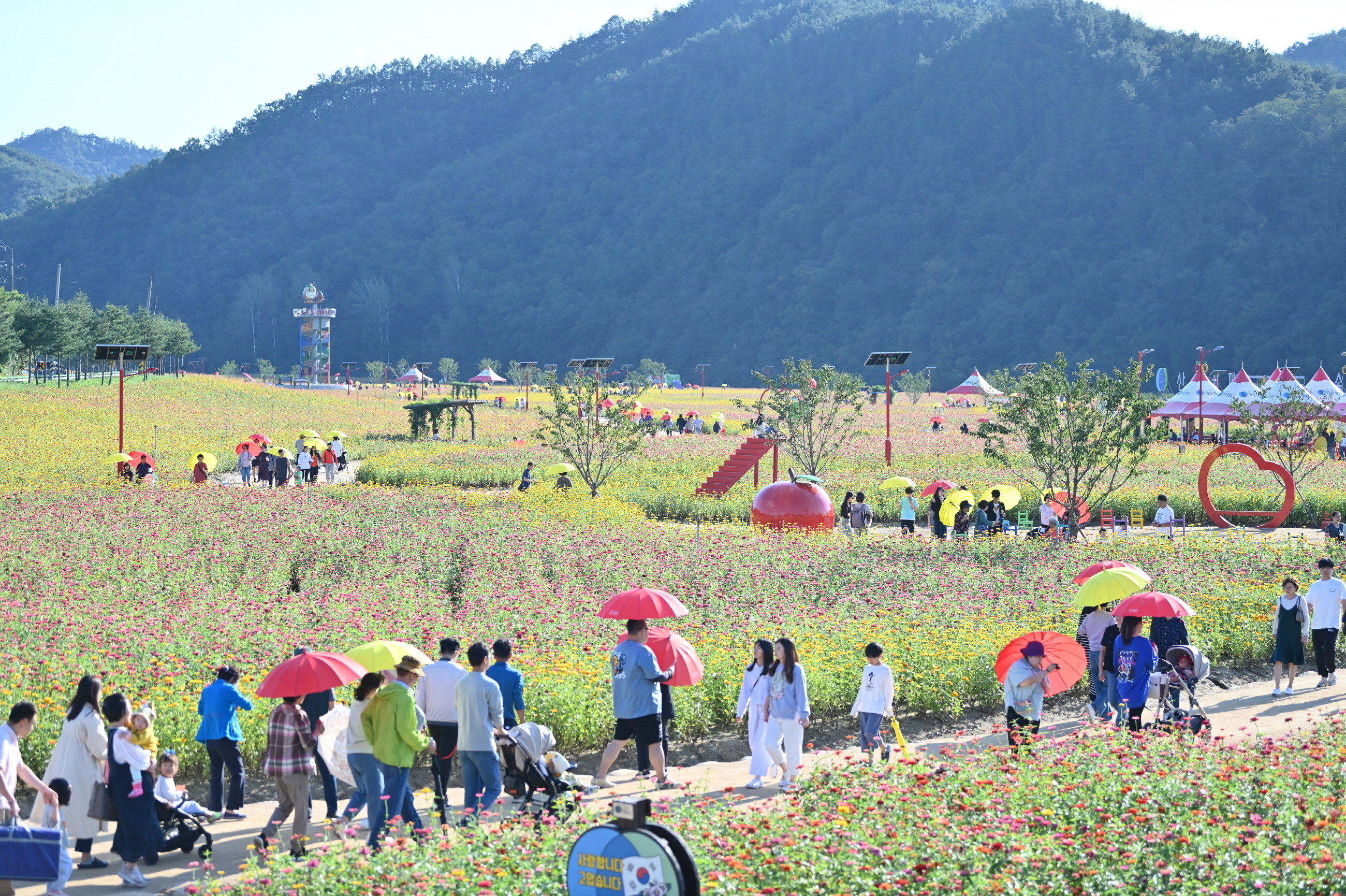 건강한 숲, 풍요로운 삶! 함께 가꾸고 누리는 푸른 청송