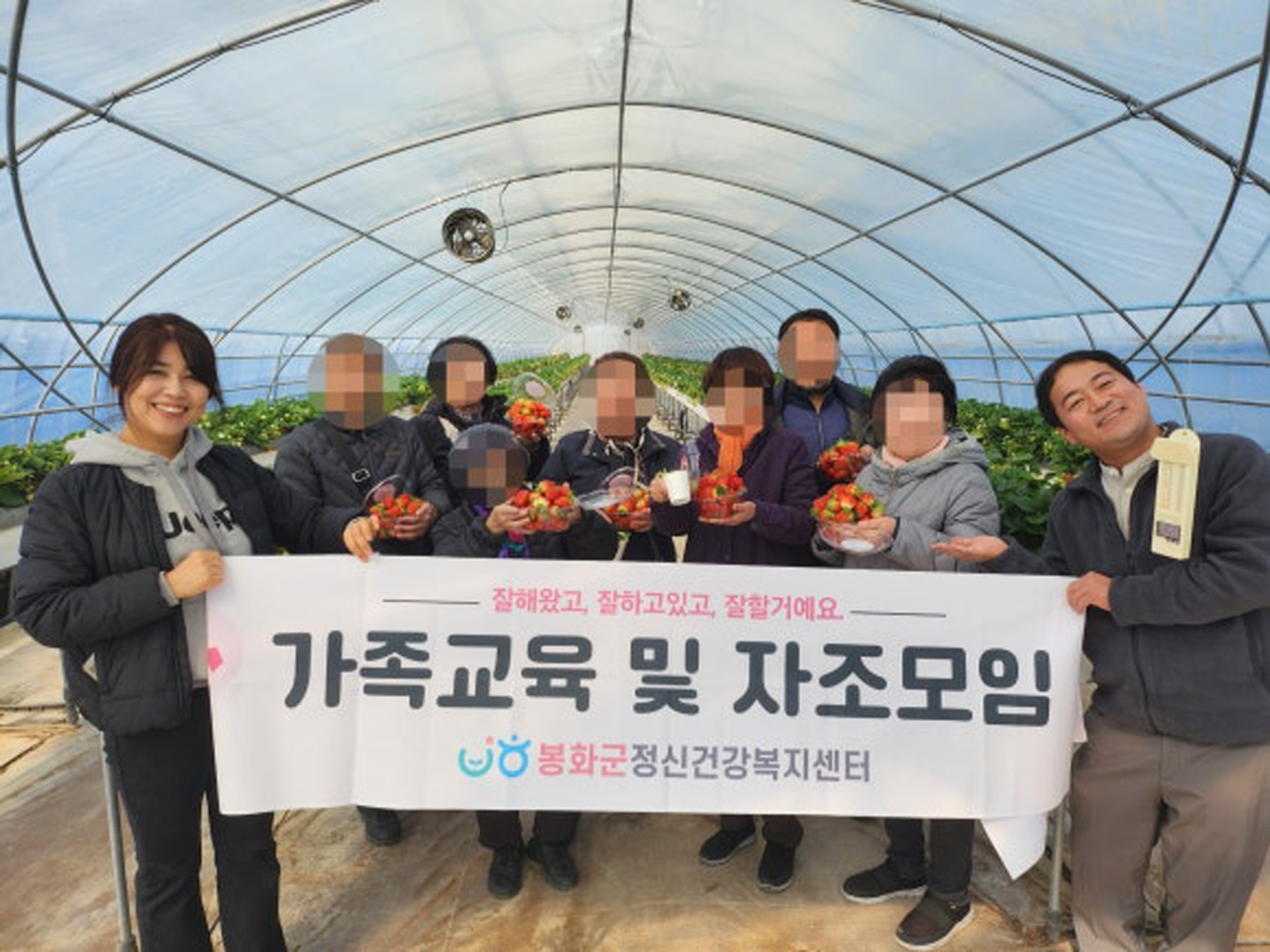 봉화군정신건강복지센터, 중증정신질환자 가족의 딸기농장 체험‘나의 달콤한 외출’진행