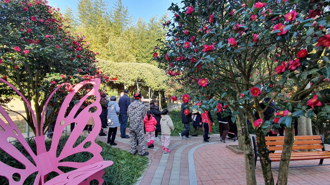 ‘섬 겨울꽃 축제’, 신안의 매력을 다시 한번 확인