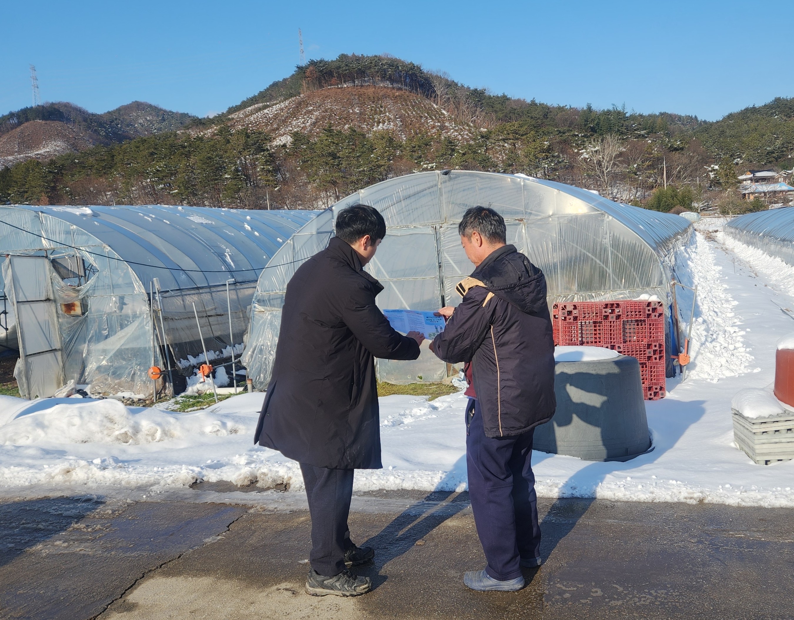 장성군, 농작물 한파 피해 최소화 팔 걷었다