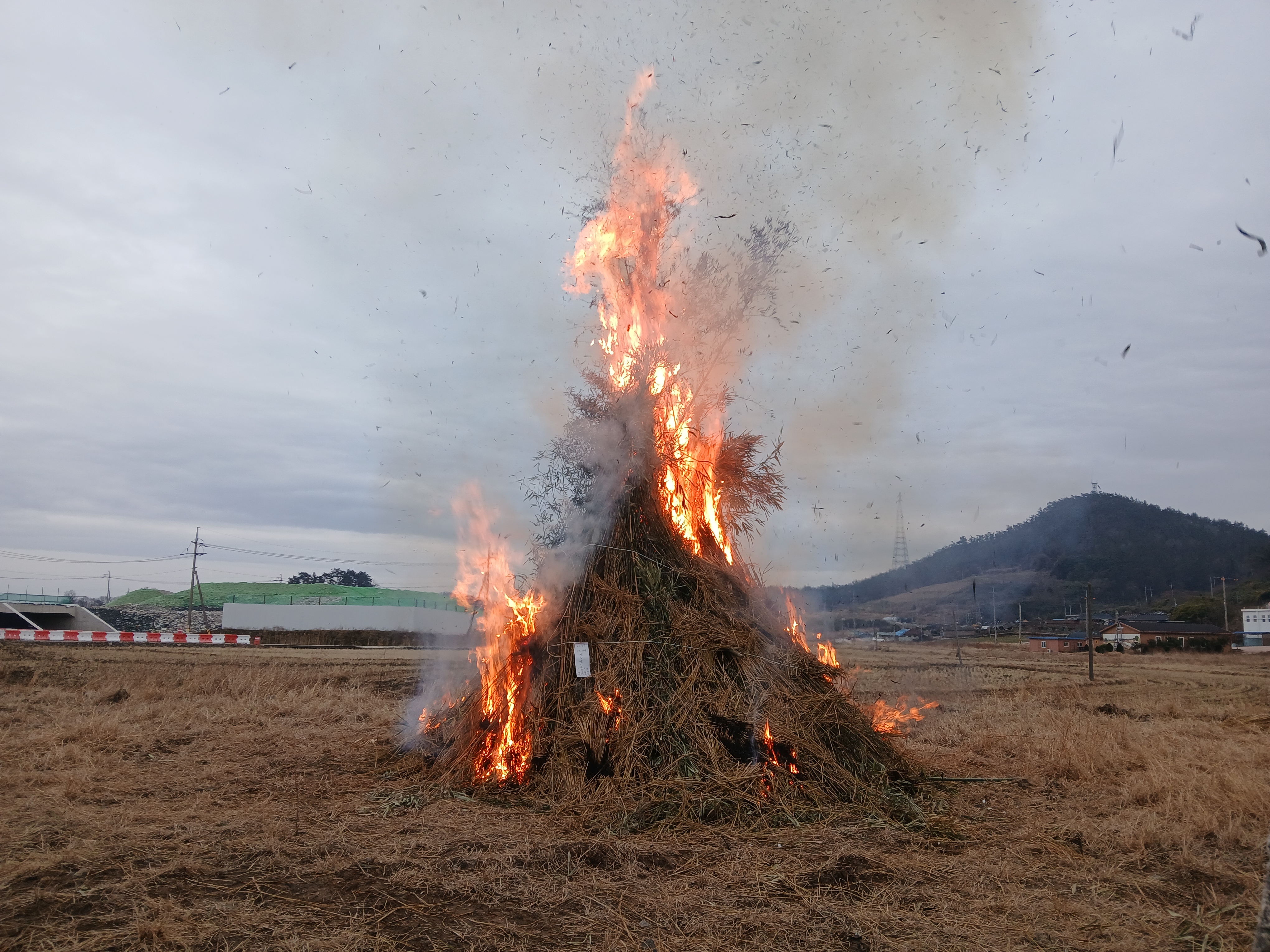 달리도 정월대보름 달동 달집 축제 개최