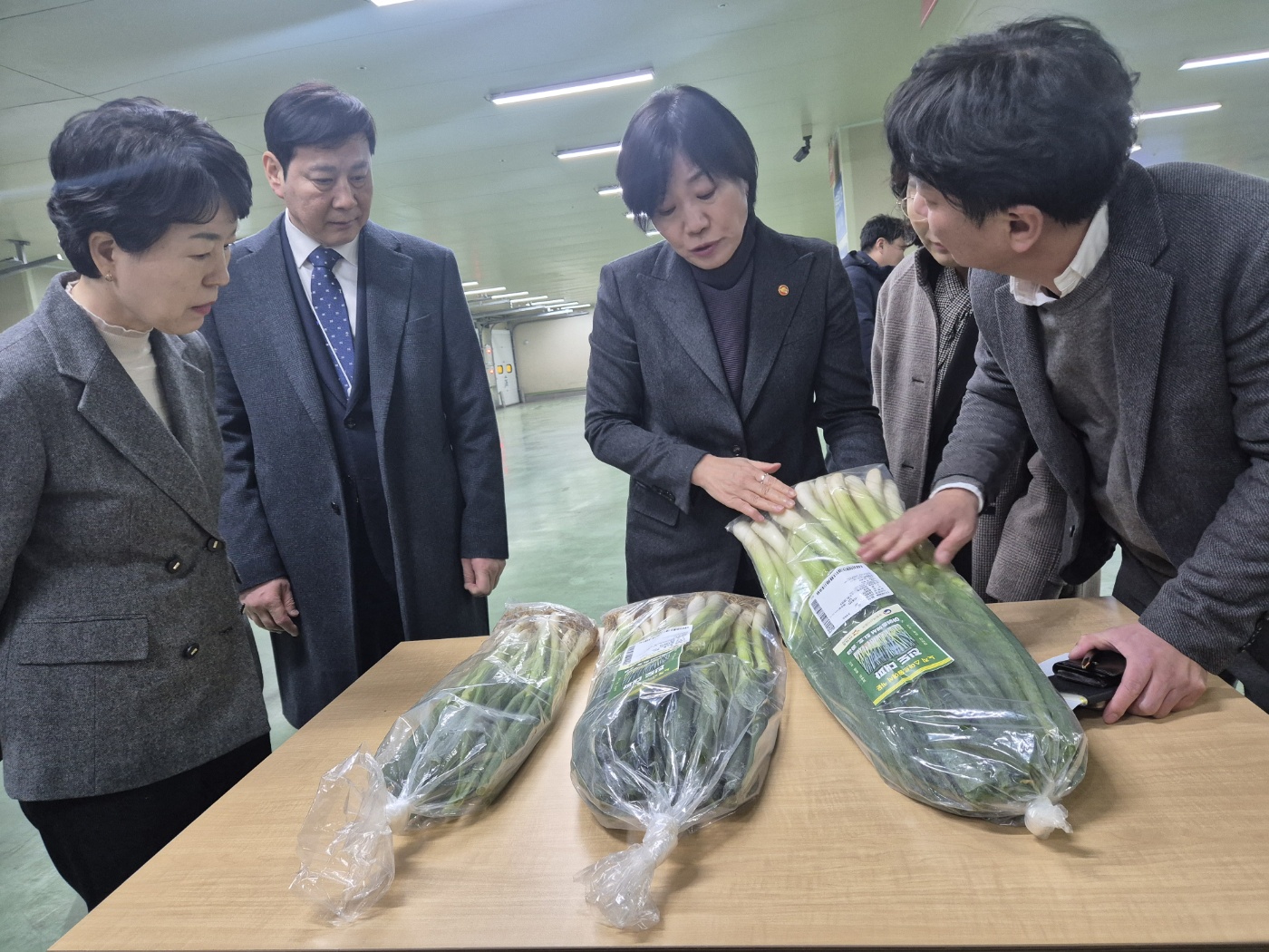 진도군, 스마트농업 기술 적용 대파 계약재배 확대 추진