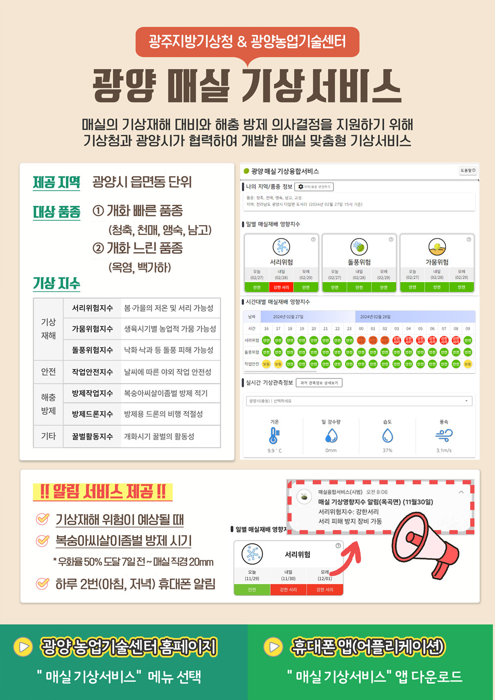 ‘맞춤형 기상서비스’로 고품질 ‘광양 매실’ 생산하세요