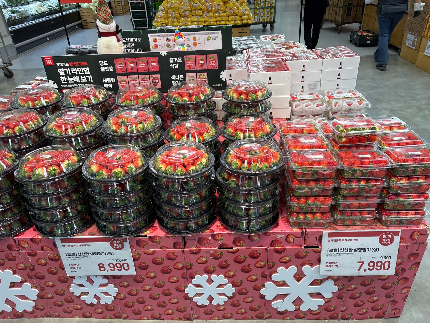 밀양 딸기 대표 브랜드‘밀양딸기1943’롯데마트 입점