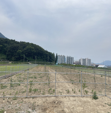김해시 경전철 역사 하부 경관특화사업 추진
