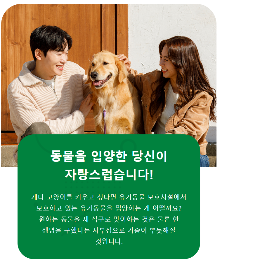 김해시 유기견 입양비 지원, 마리당 최대 15만원