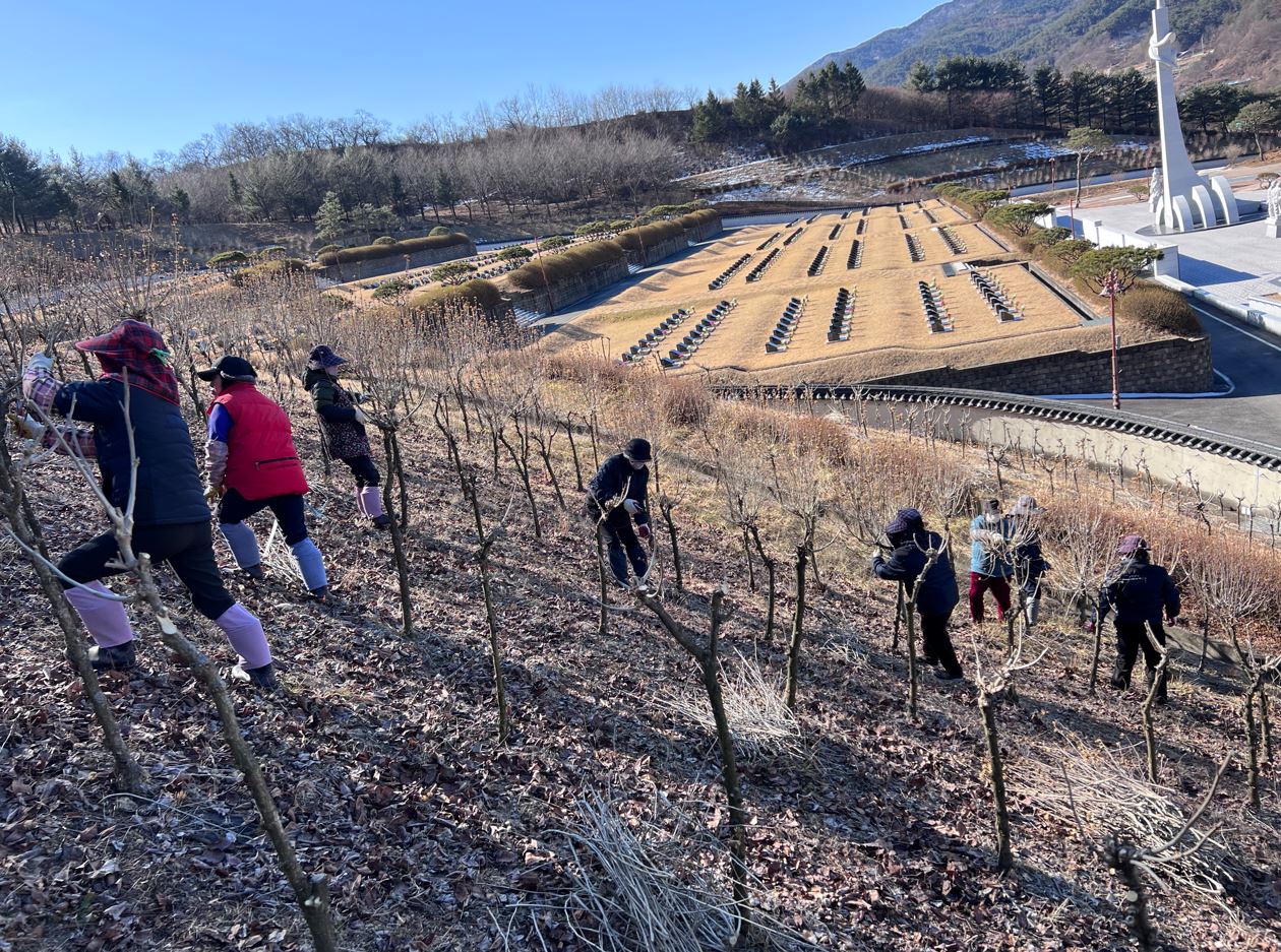 거창사건사업소, 무궁화동산 경관 개선 완료
