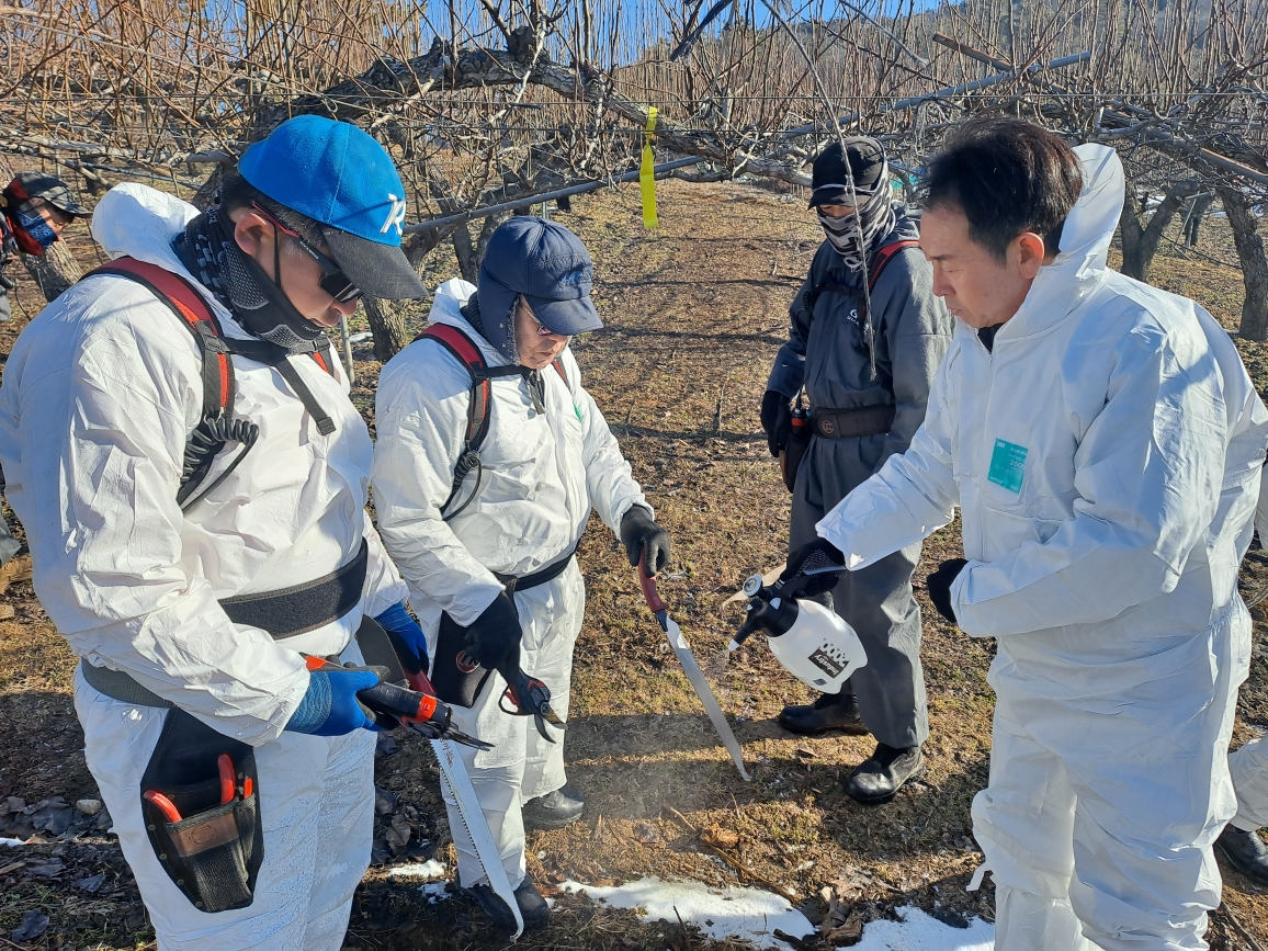 안성시농업기술센터, 동계 화상병 예방을 위한 현장교육 실시