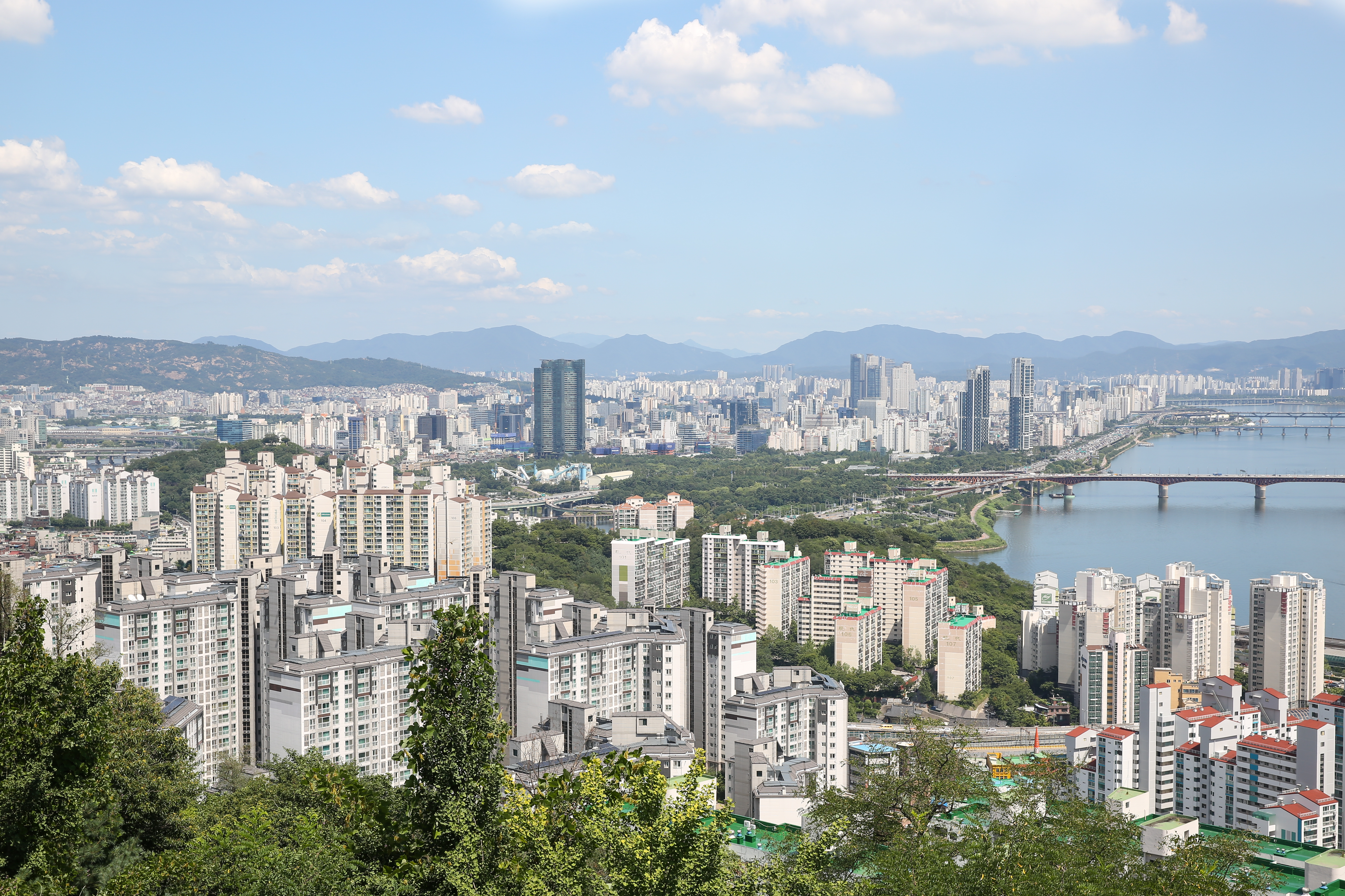 성동구, 2025년 불법유동광고물 수거보상제 실시