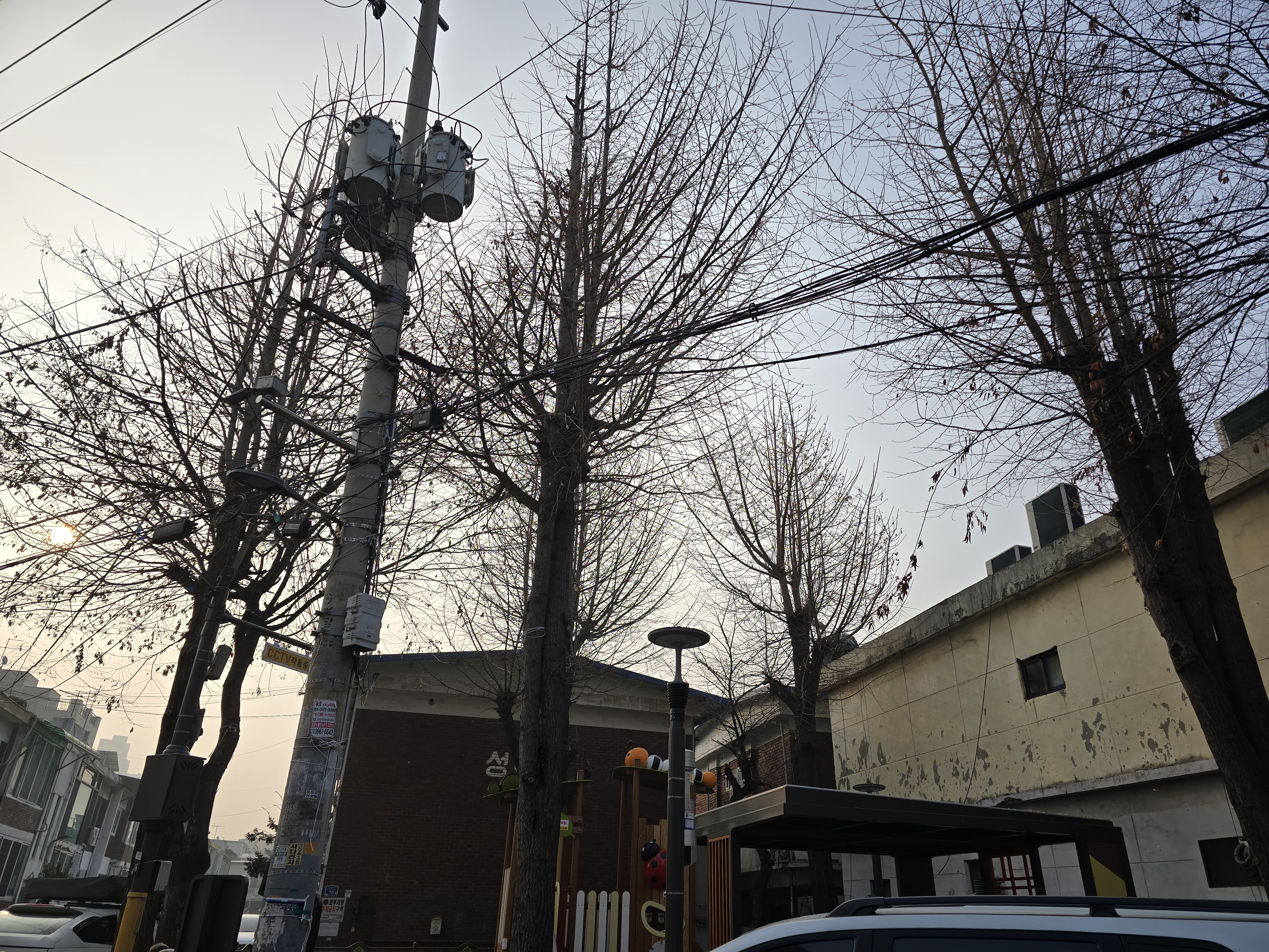 광진구, 봄맞이 어린이공원·소공원 수목 정비로 안전·도시 미관 향상