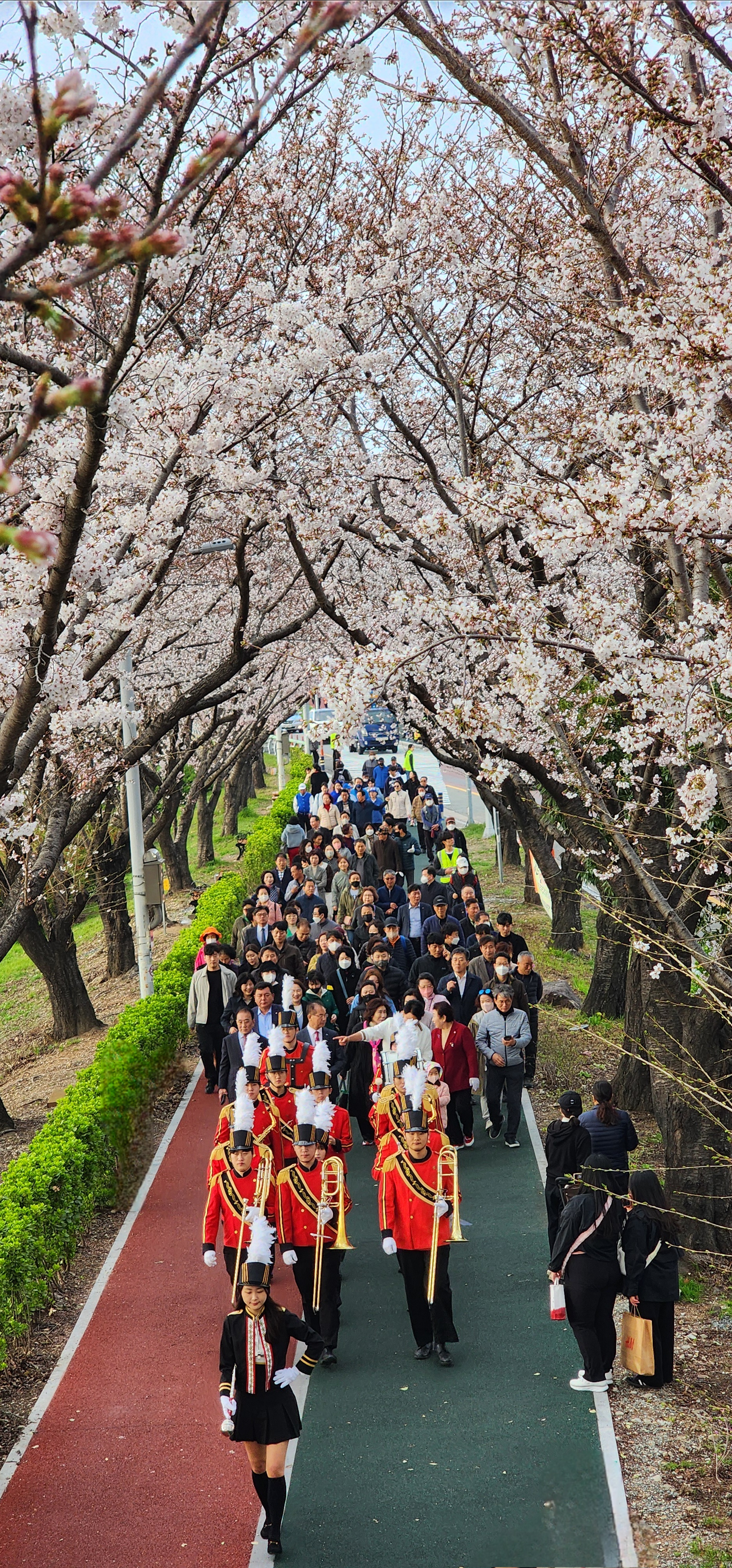 부산 사상구, 2025년 낙동강정원 벚꽃축제 3월 28일 화려한 개막