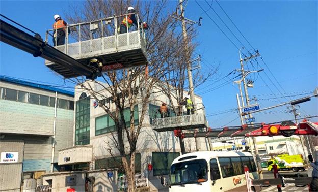 강서구, 가로수 연중 대대적 정비 추진