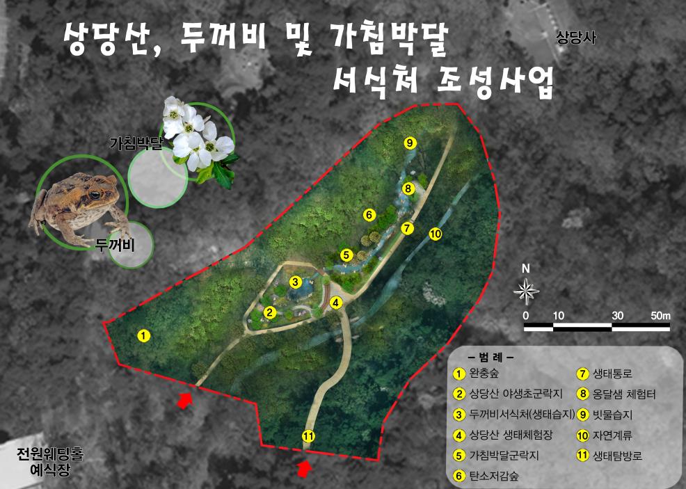 청주시, 명암유원지 생태공원서 두꺼비 서식처 조성 추진