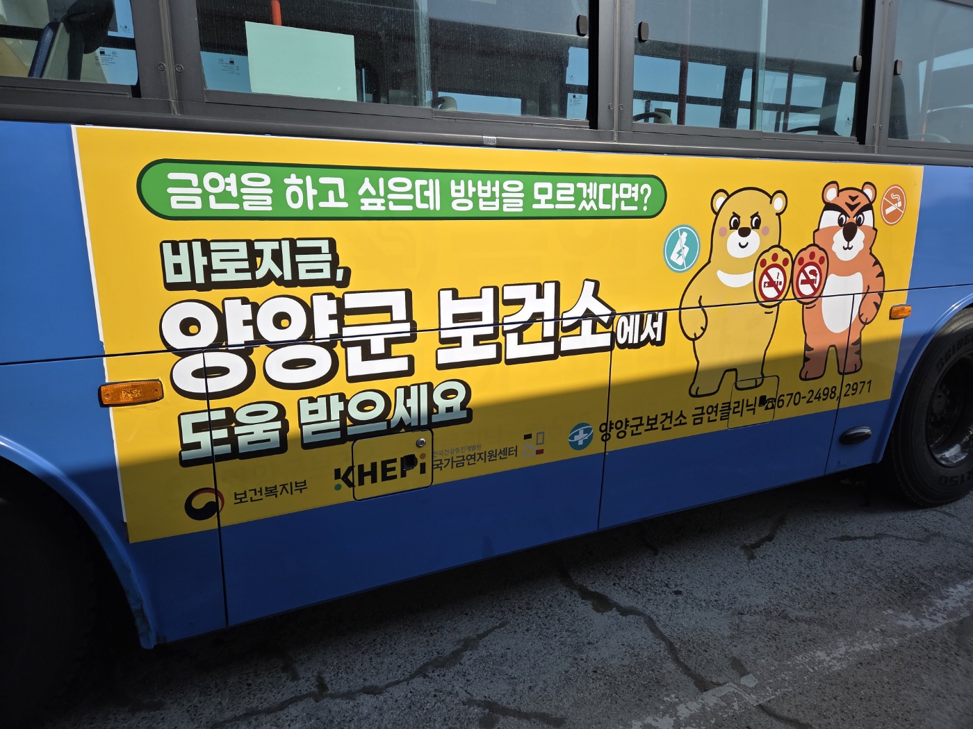 양양군, 금연환경 조성을 위한 버스 외부 광고 실시