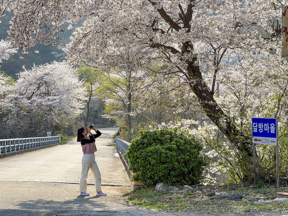 동해시, 뮤지컬 ‘수박수영장’