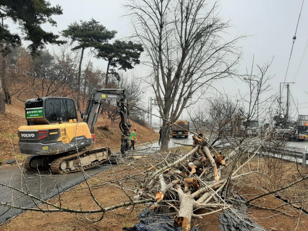 공주시 우성면 자율방재단, 피해목 40주 제거 실시