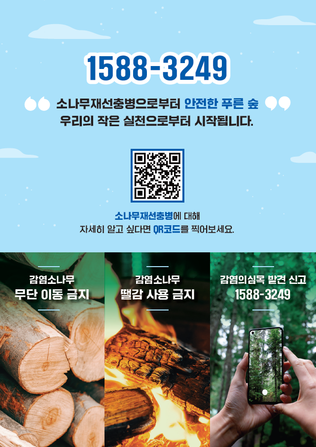 아산시, 봄철 ‘소나무재선충병 확산 방지’ 총력