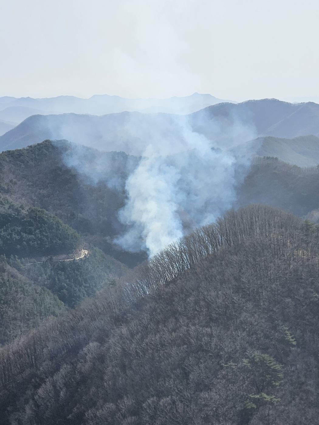 충남도, 금산군 산불 49분 만에 진화