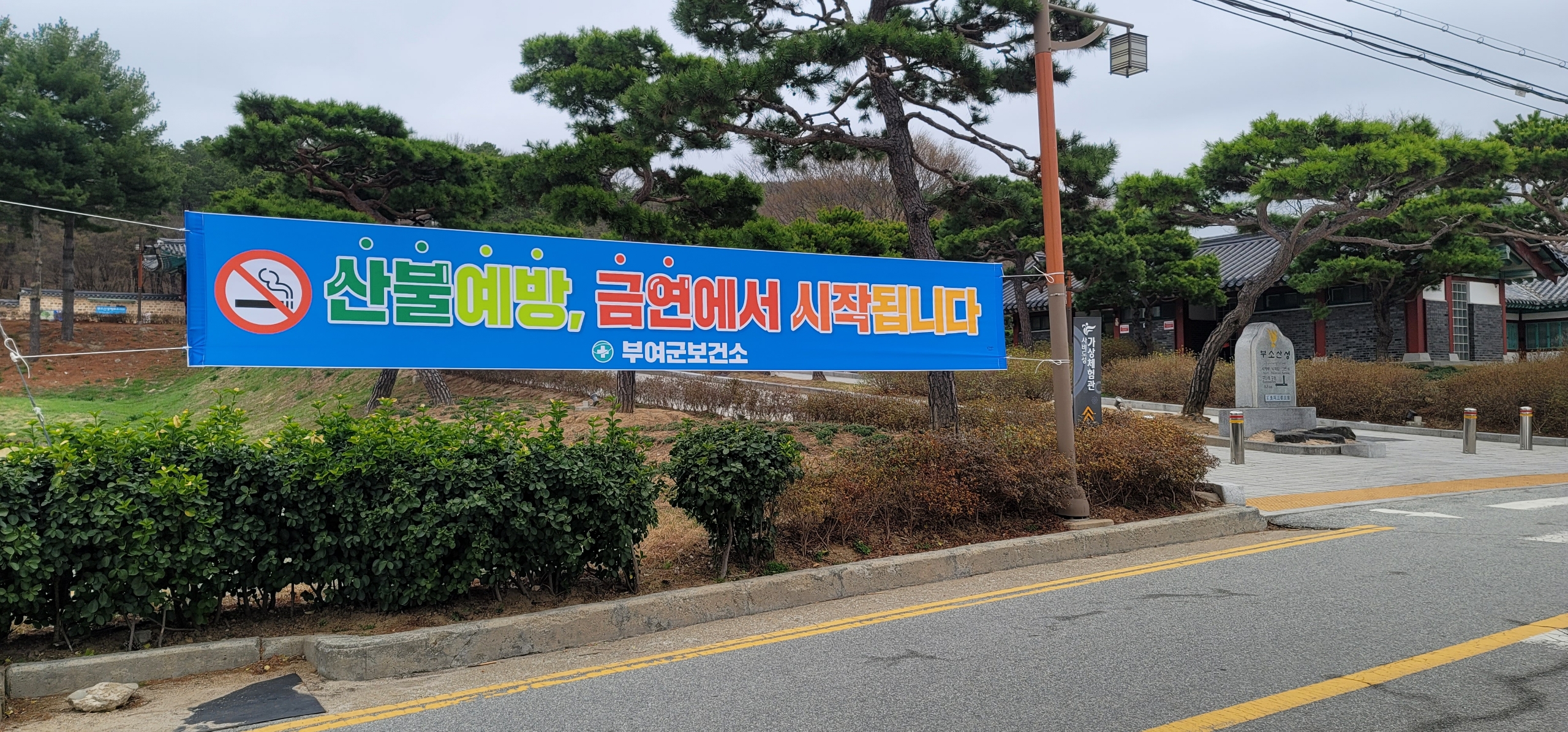 부여군, 금연을 통한 산불 예방 홍보에 앞장