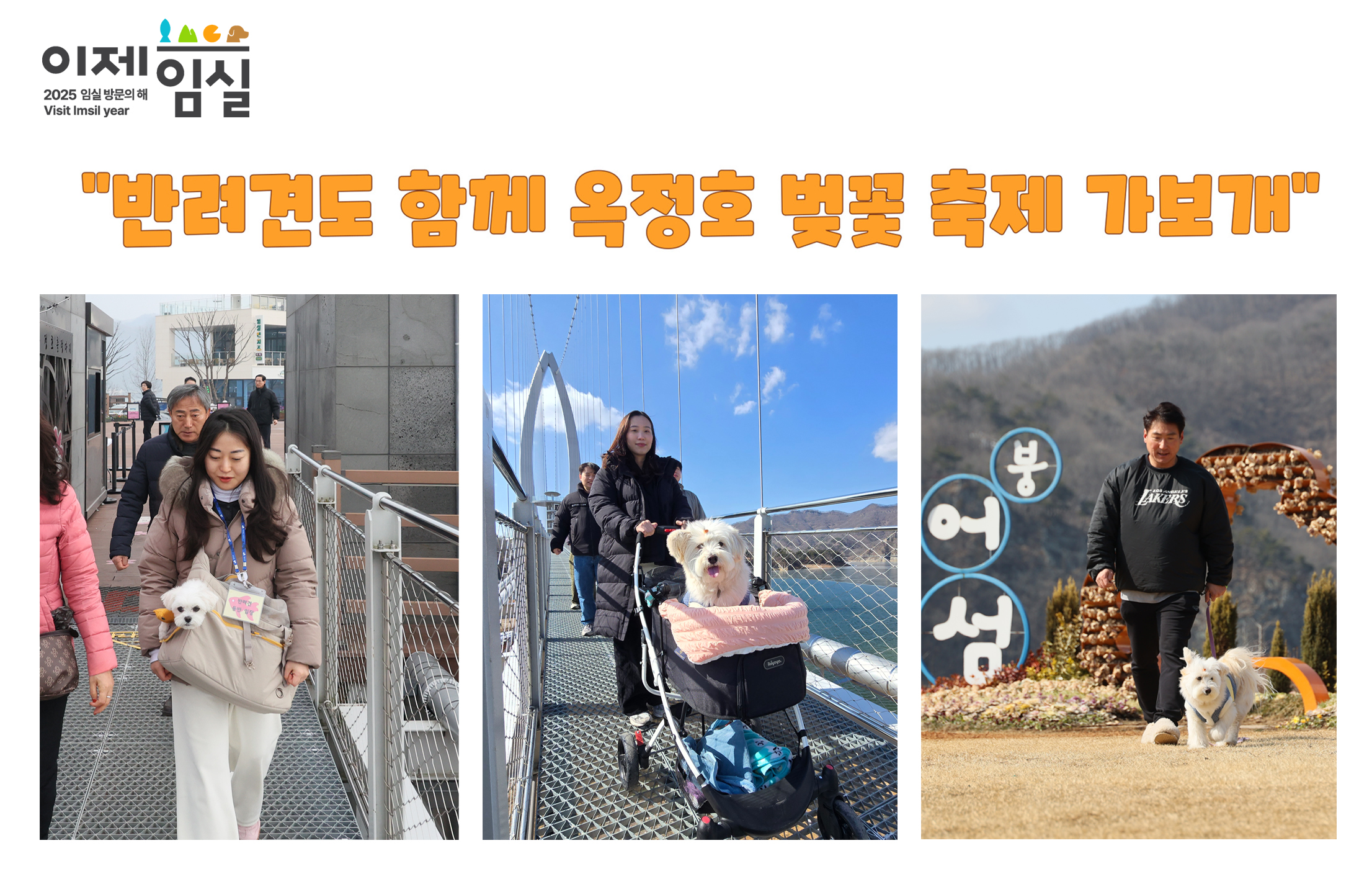 “반려견도 함께 옥정호 벚꽃축제 가보개”