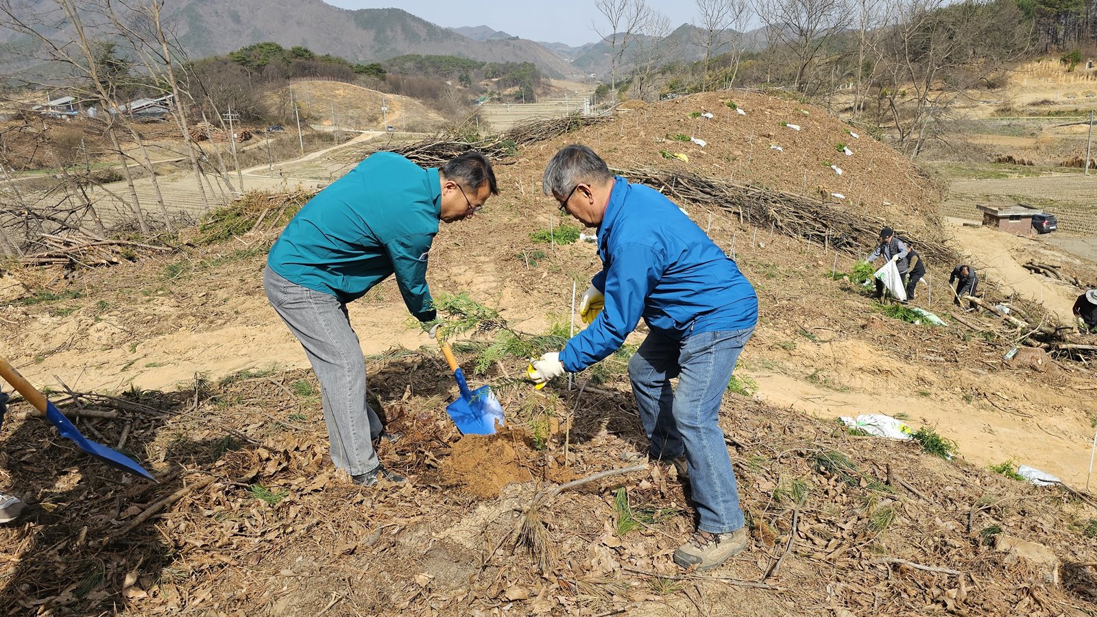 임실군, 제80회 식목일 기념 나무 심기 행사 성료