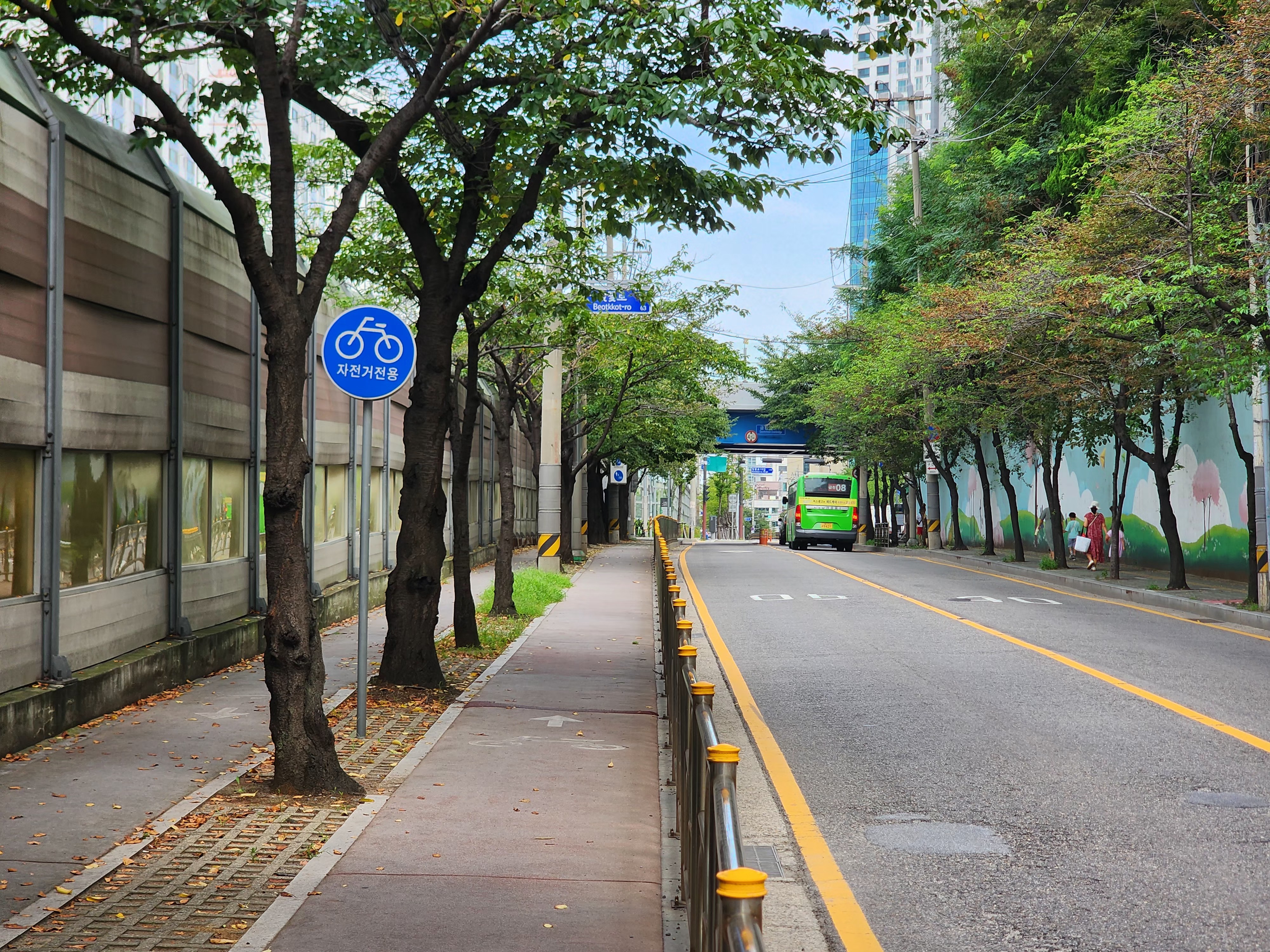 금천구, 봄바람 따라 넓어지는 벚꽃로… 벚꽃로 상습 정체 구간 확장 공사 착공