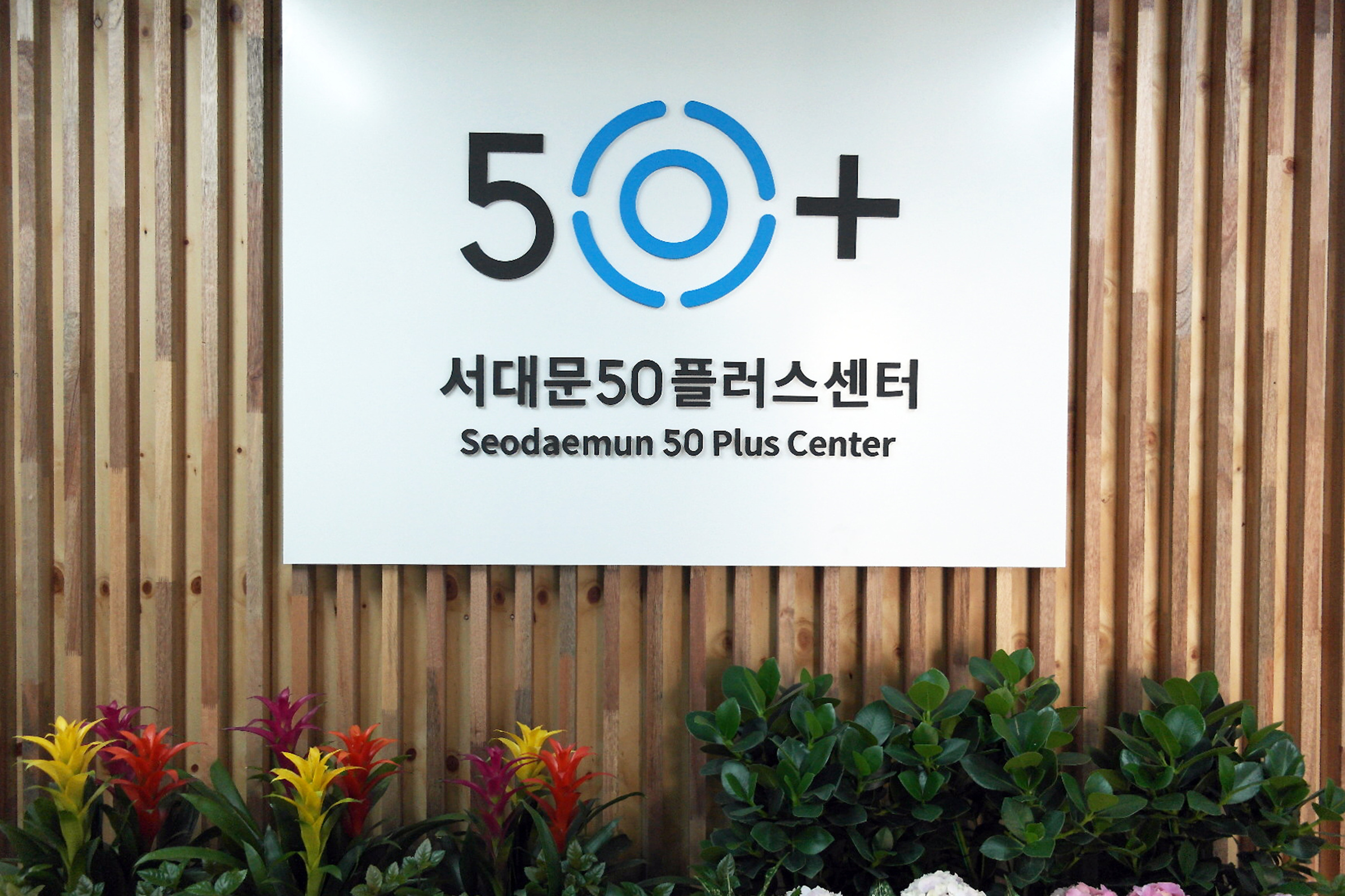 40대라면 직업 전환 캠프에 도전하세요