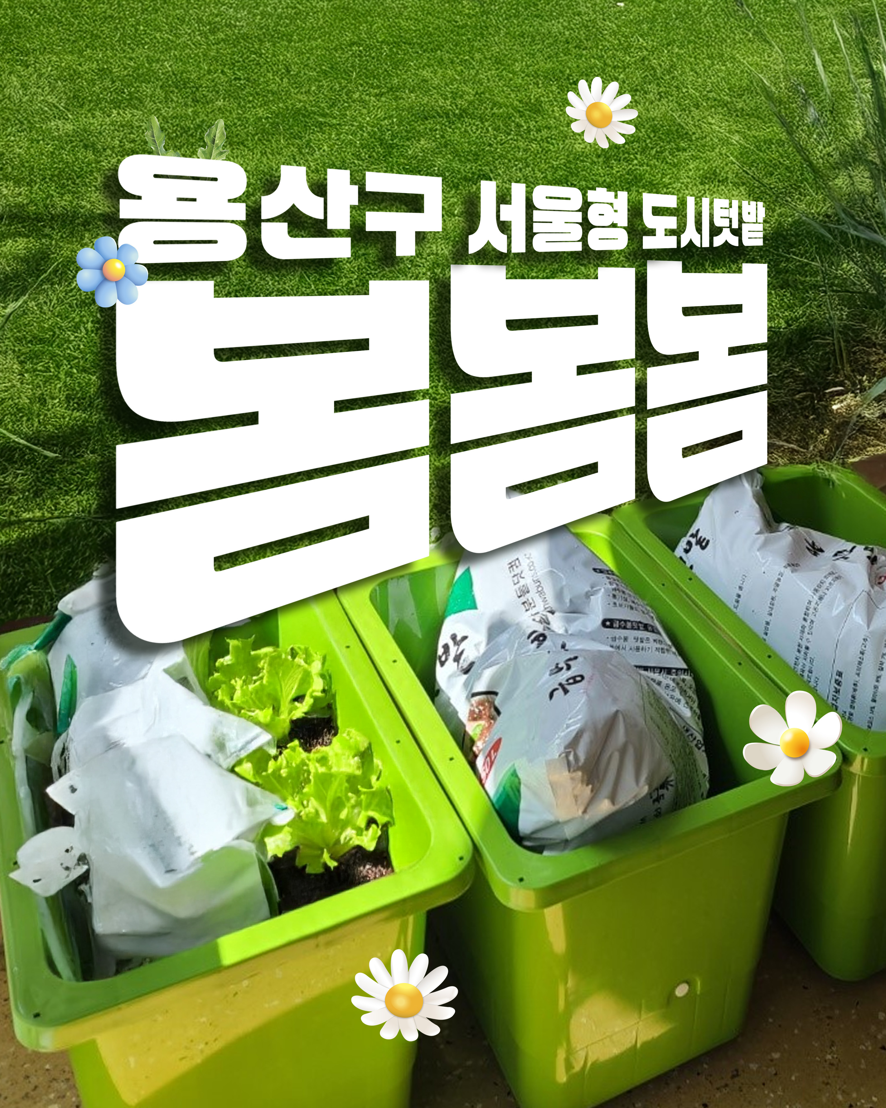 용산구,‘우리 집 싱싱박스’ 상자텃밭 신청자 모집