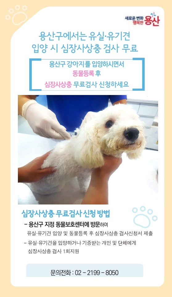 용산구, 유실·유기견 입양 시 심장사상충 검사 무료
