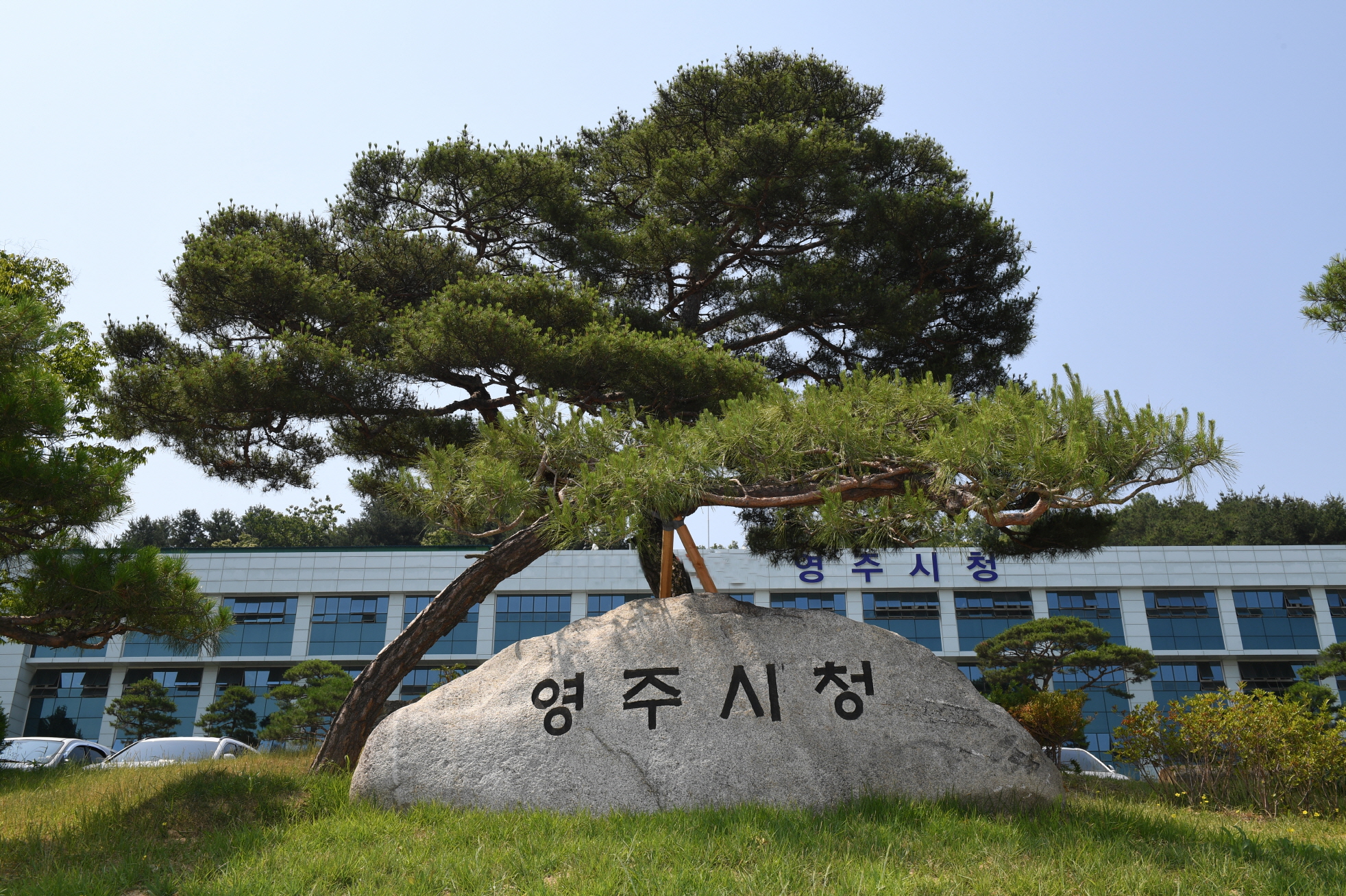 영주시, 대기환경 개선 위해 노후 경유차 조기폐차 보조금 지원사업 추진