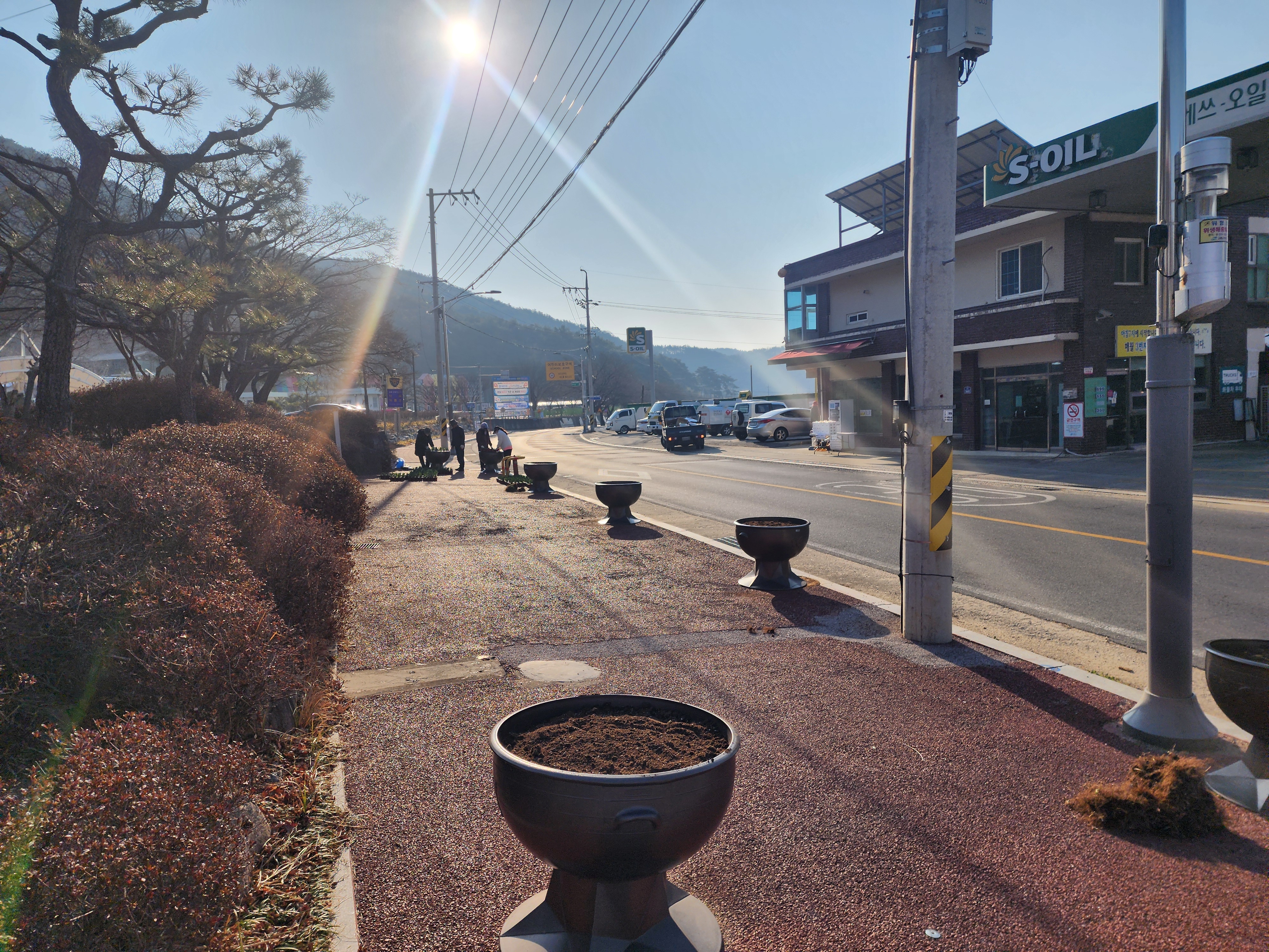 2025 대가야 축제 앞두고 덕곡면 봄꽃으로 물들이다