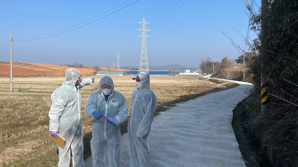 영광군, 고병원성 조류인플루엔자 확산 차단 총력