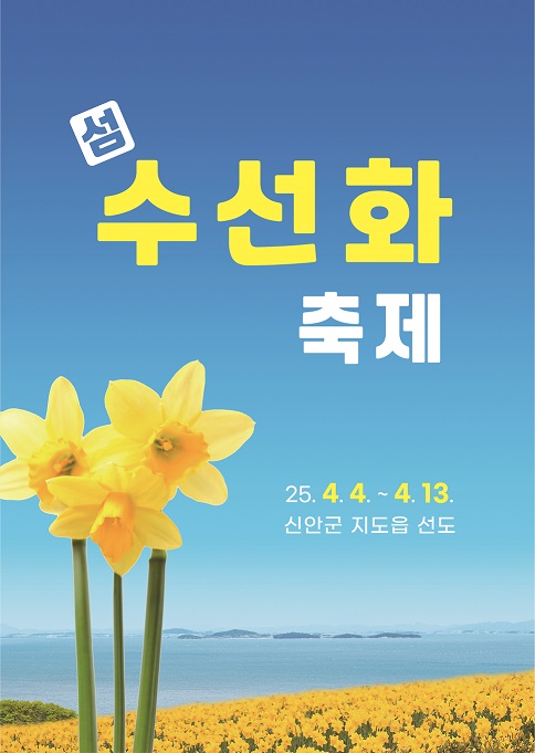 봄의 정령 수선화! 신안으로 보러 오세요