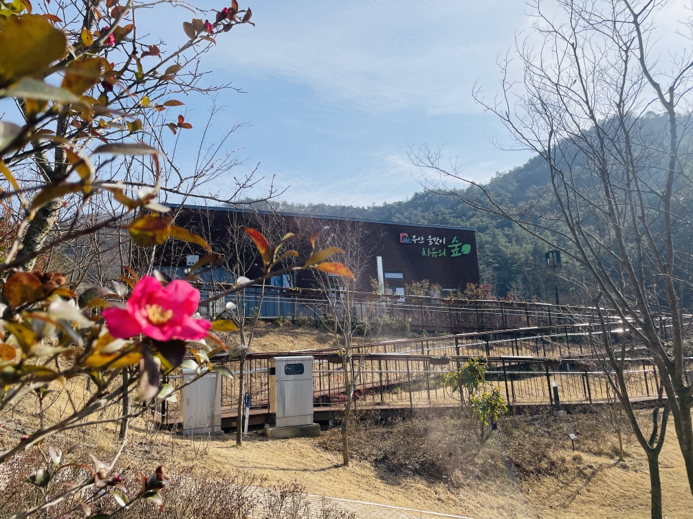무안 물맞이 치유의 숲, 3월 20일부터 치유 프로그램 본격 운영